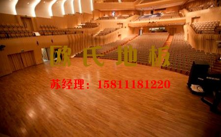 專業(yè)生產(chǎn)舞臺(tái)運(yùn)動(dòng)木地板的廠家