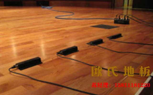 歐氏舞臺(tái)木地板—舞蹈演員不可缺少的朋友