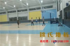 體育木地板滋生白蟻了怎么辦？